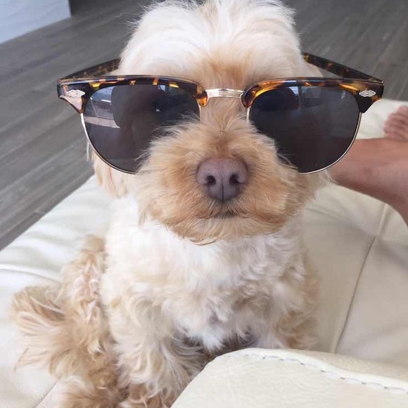 Meet your Posher, Kristin - Picture 4 of 7