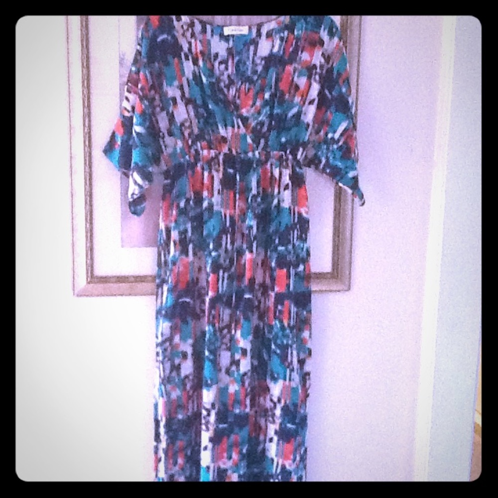 Beautiful Calvin Klein dress.