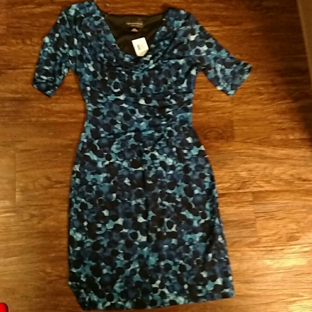 NWT petite size 4 office dress