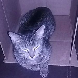 Meet your Posher, Regina