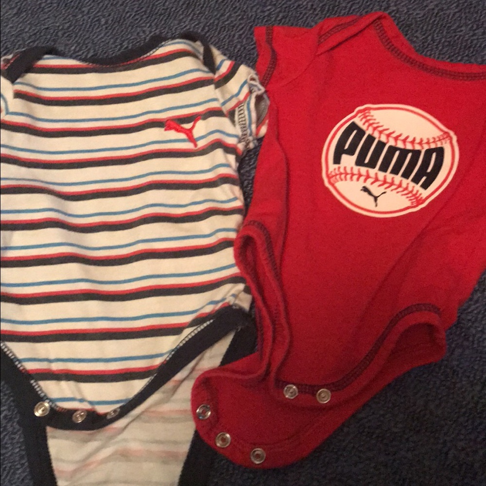 Puma 🐆🐅