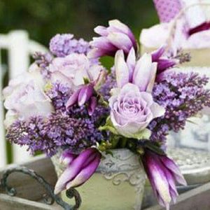 Meet your Posher, Shannon