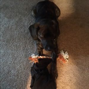 Meet your Posher, Brandyn