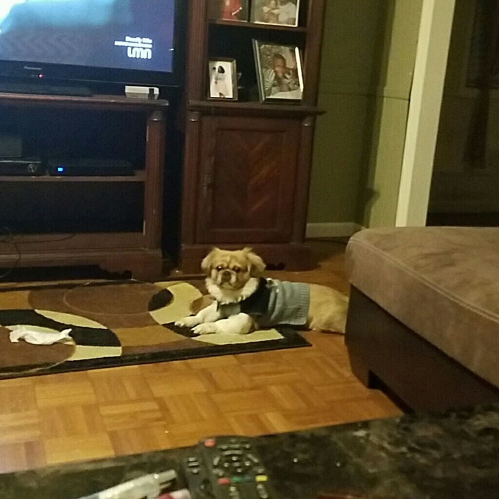 Meet your Posher, Shameka