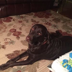 Meet your Posher, Anita