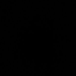 Meet your Posher, Cheyenne