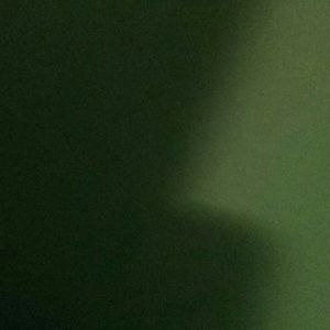 Meet your Posher, Rosio