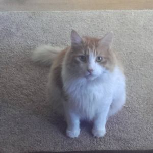 Meet your Posher, Cathy