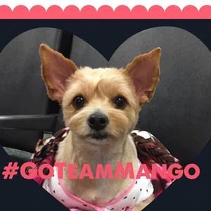 Meet your Posher, Vickie