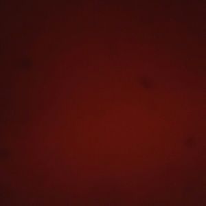 Meet your Posher, Maribel