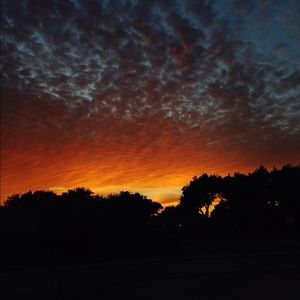 Meet your Posher, Bob