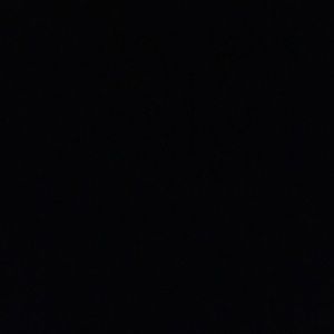 Meet your Posher, Priscila