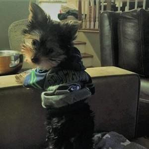 Meet your Posher, Patti