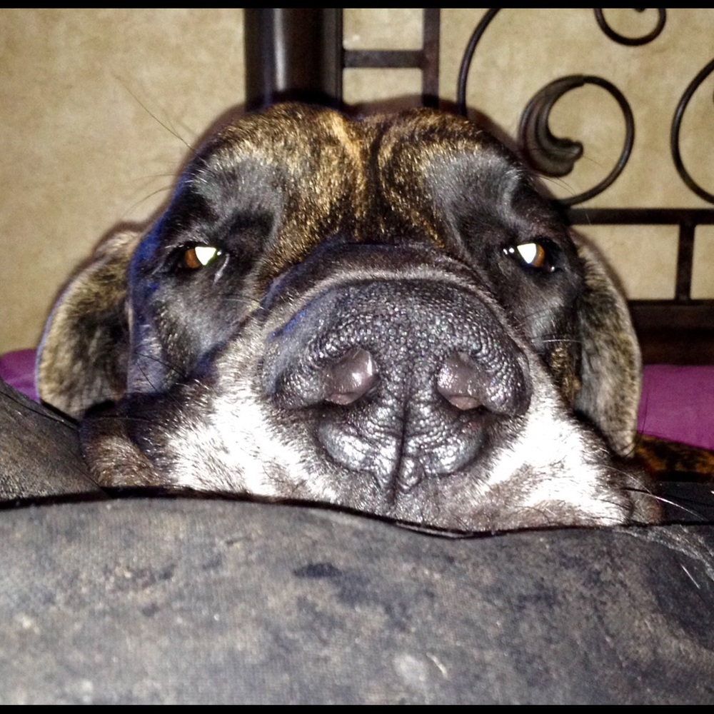 Don't miss out on great buys. Check out my closet.