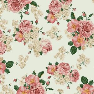 Meet your Posher, Camille