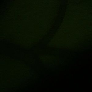 Meet your Posher, Afra