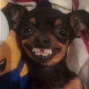 Meet your Posher, Alexis