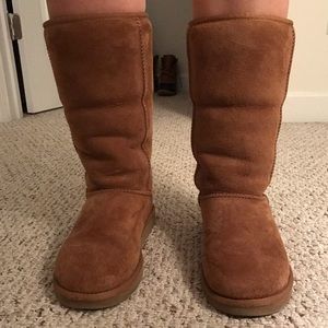 Classic Tall Uggs in Chestnut
