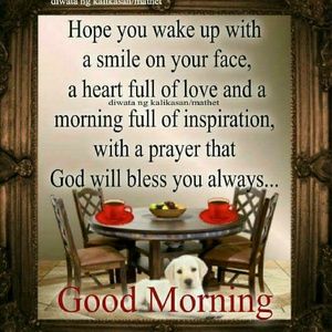 Meet your Posher, Maxine