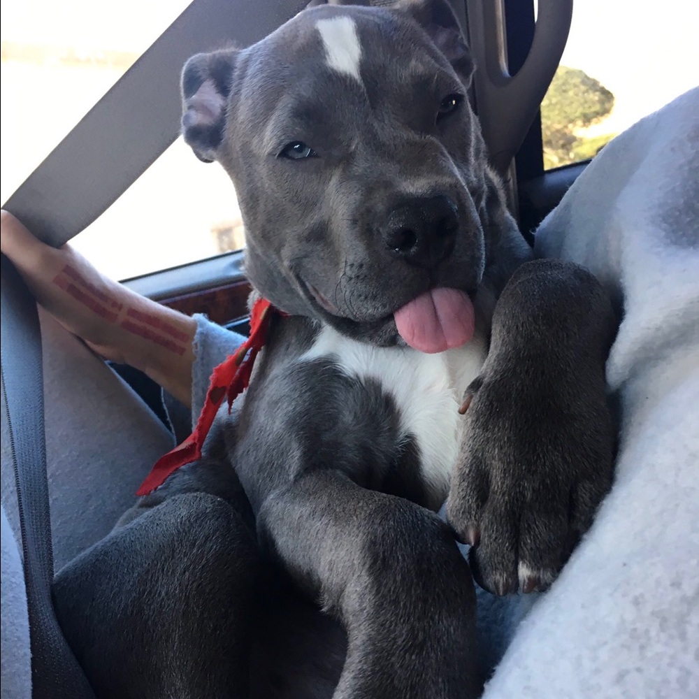 Meet your Posher, Madeline