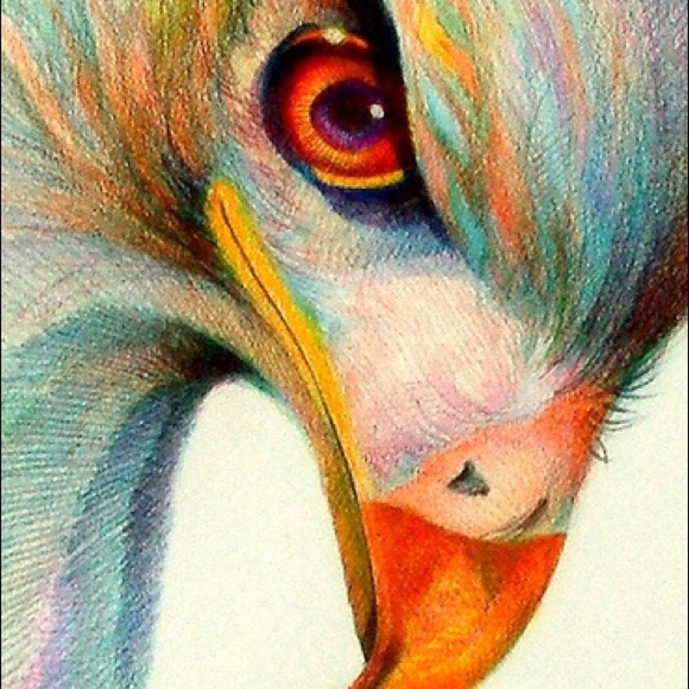 Meet your Posher, Lynnette