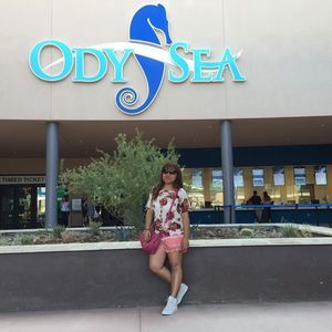 Meet your Posher, Leacer