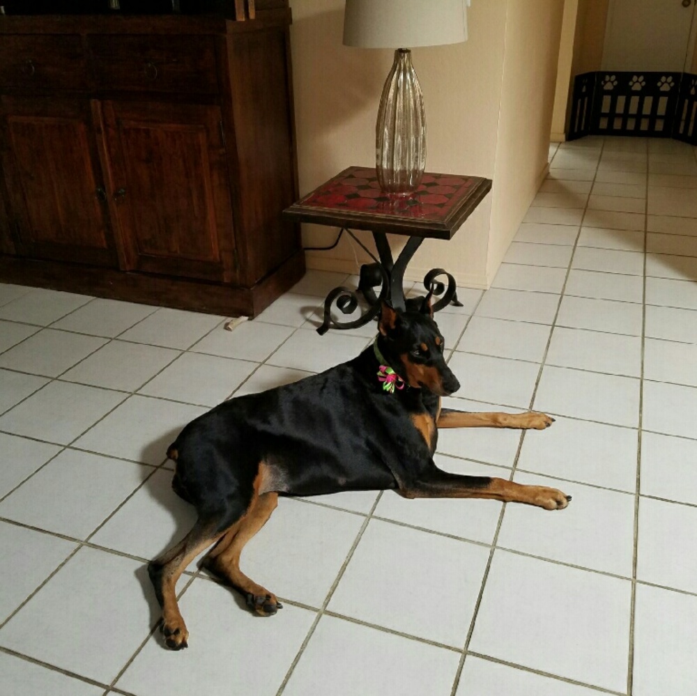 Meet your Posher, Meghna