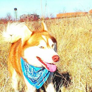 Meet your Posher, Holly