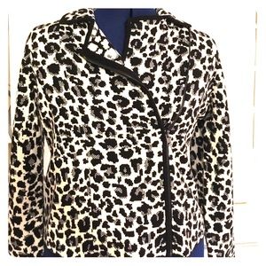 Ann Taylor Jacket