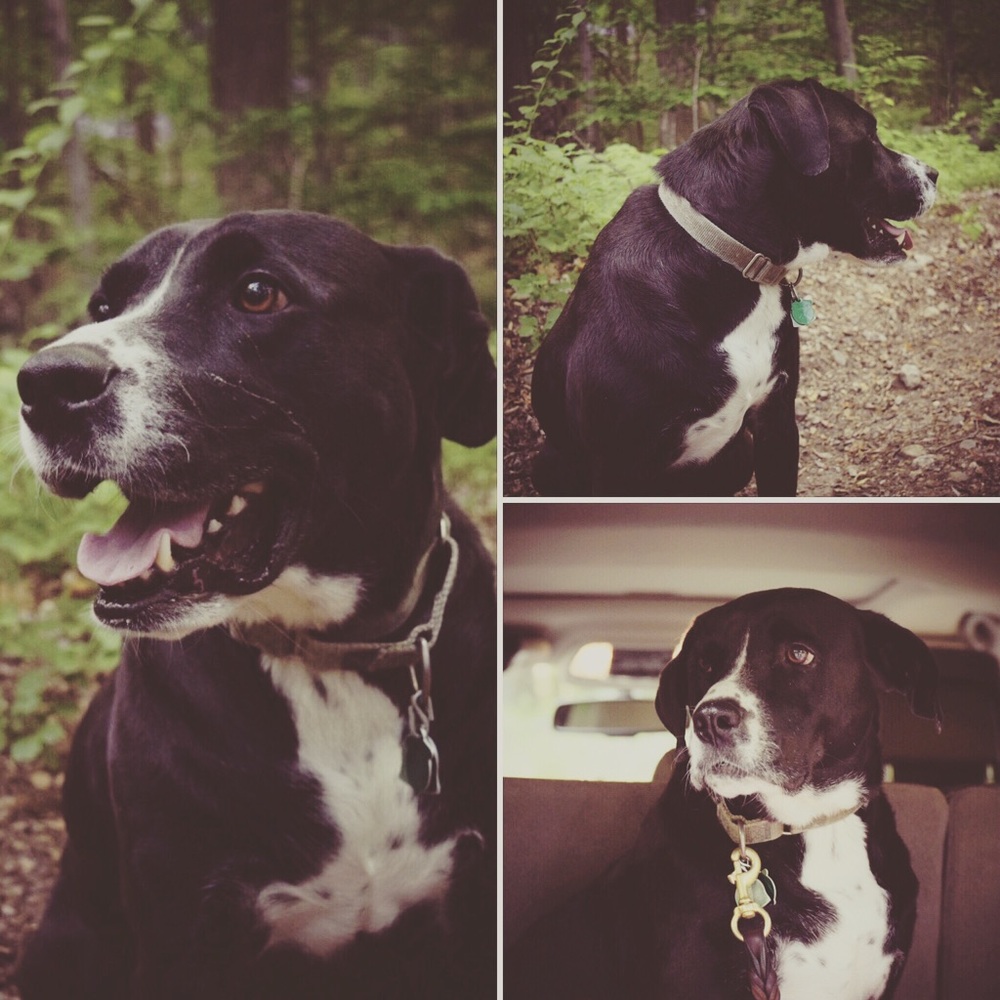 Meet your Posher, Franco