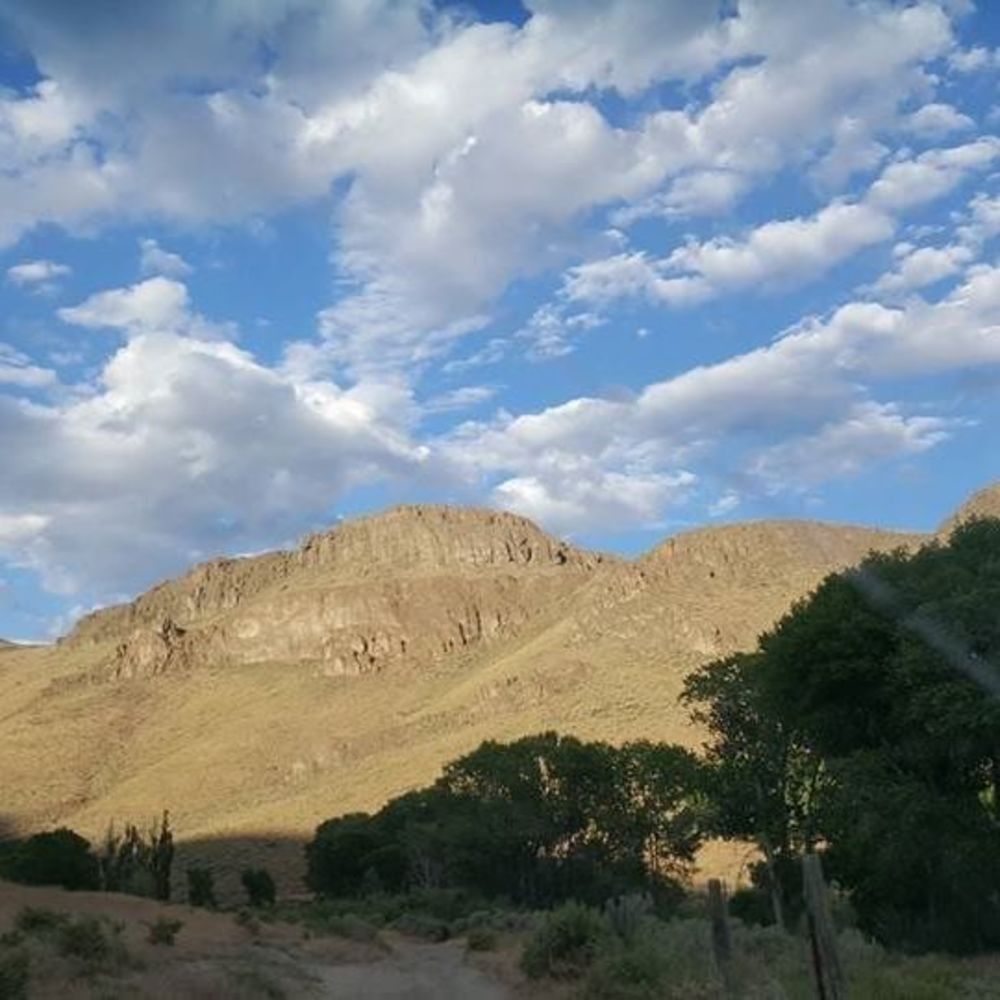 Meet your Posher, Lupe