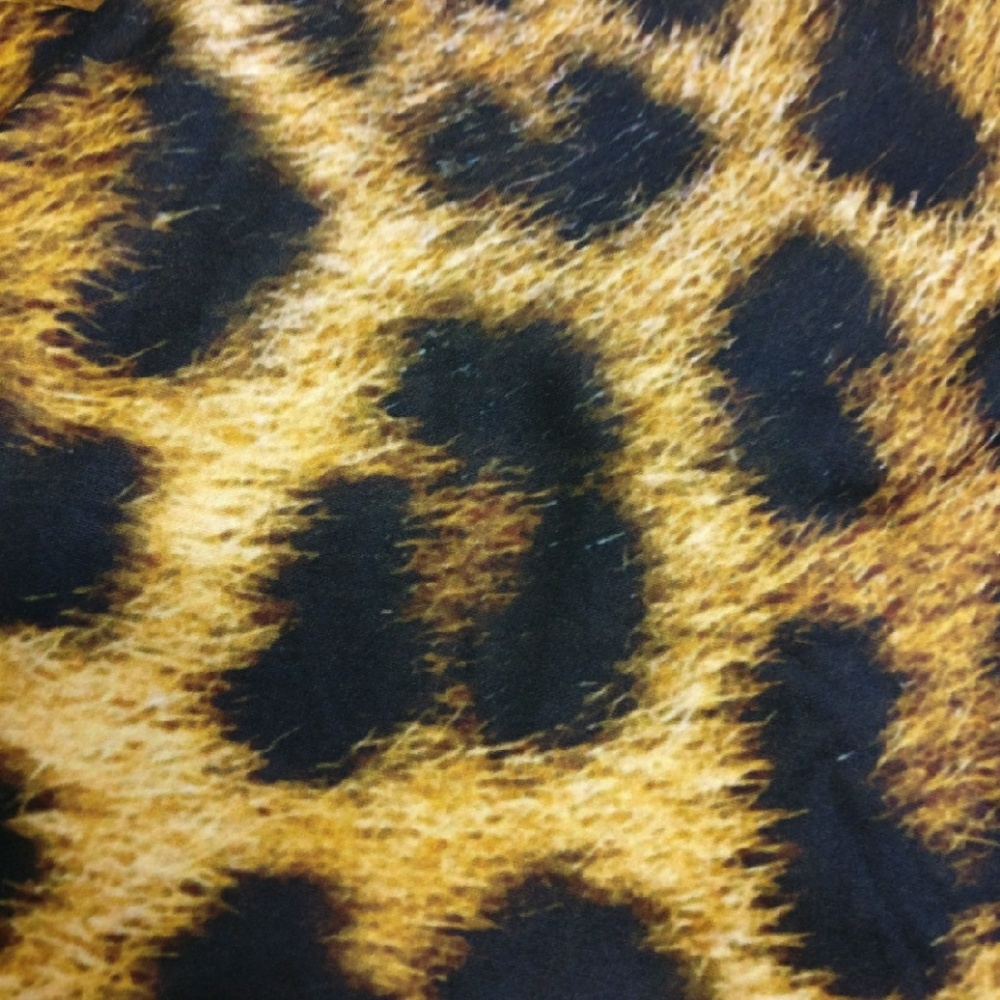 Leggings Leopard Print One Size Buttery & Soft! - Picture 7 of 7