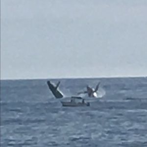 Meet your Posher, Kari