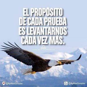 Meet your Posher, Elba