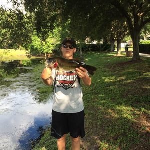 Meet your Posher, Siegfried