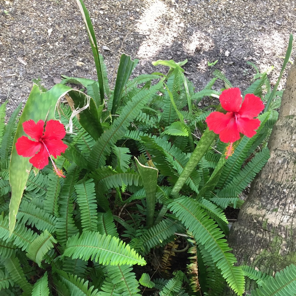 Meet your Posher, Tara