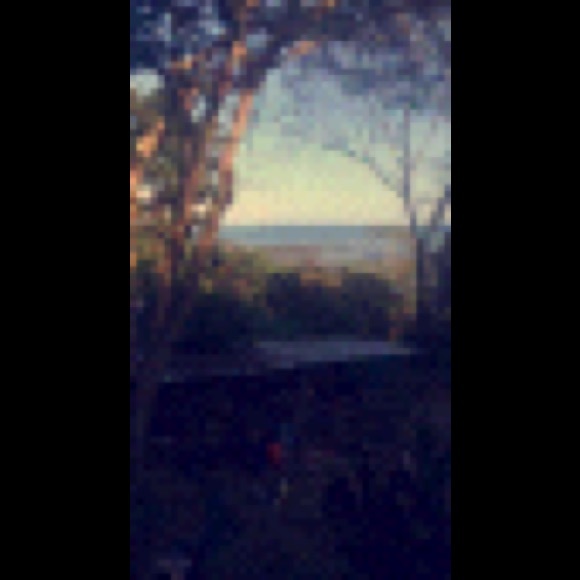 Meet your Posher, Selena - Picture 1 of 1