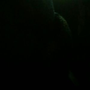 Meet your Posher, Tory