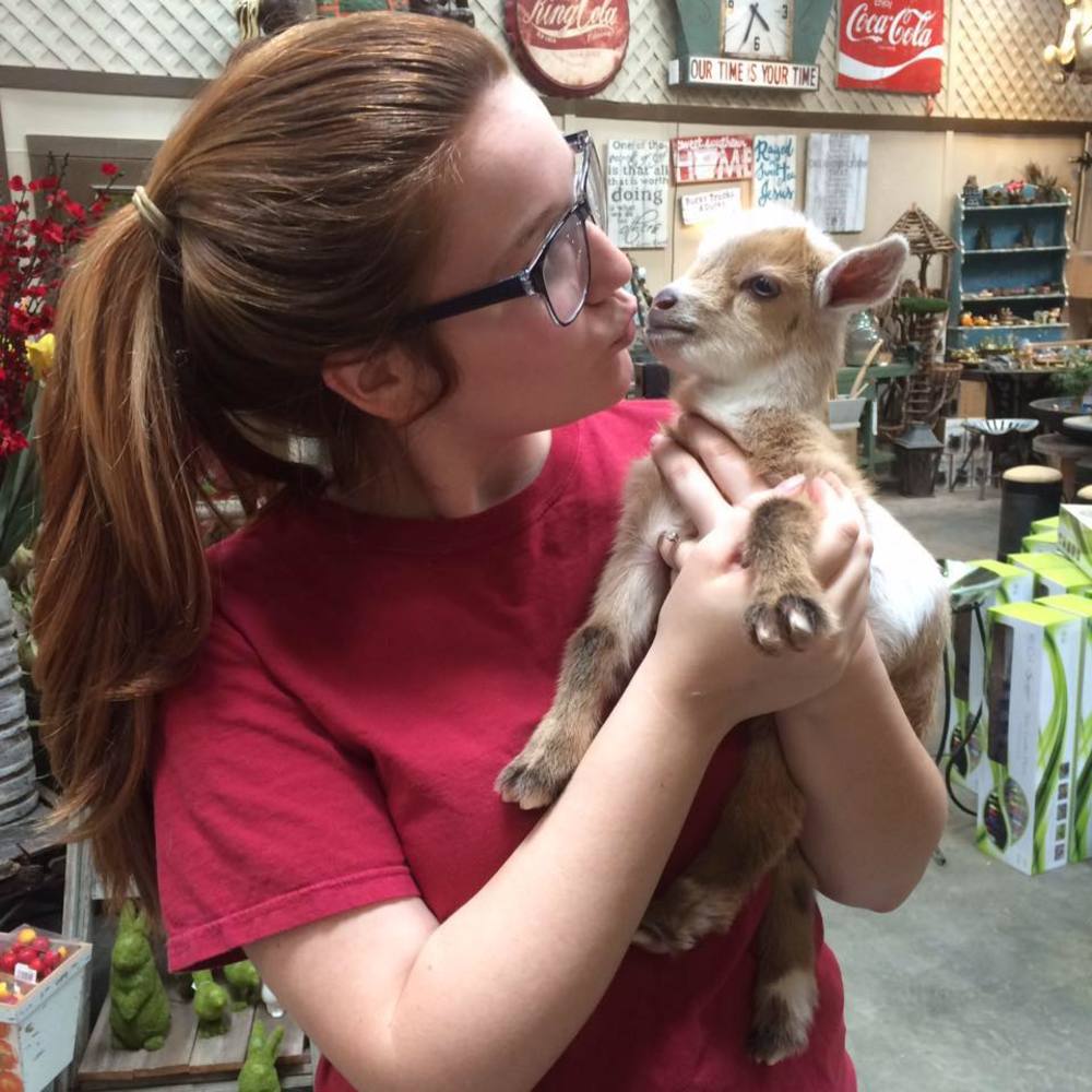 Meet your Posher, Allison