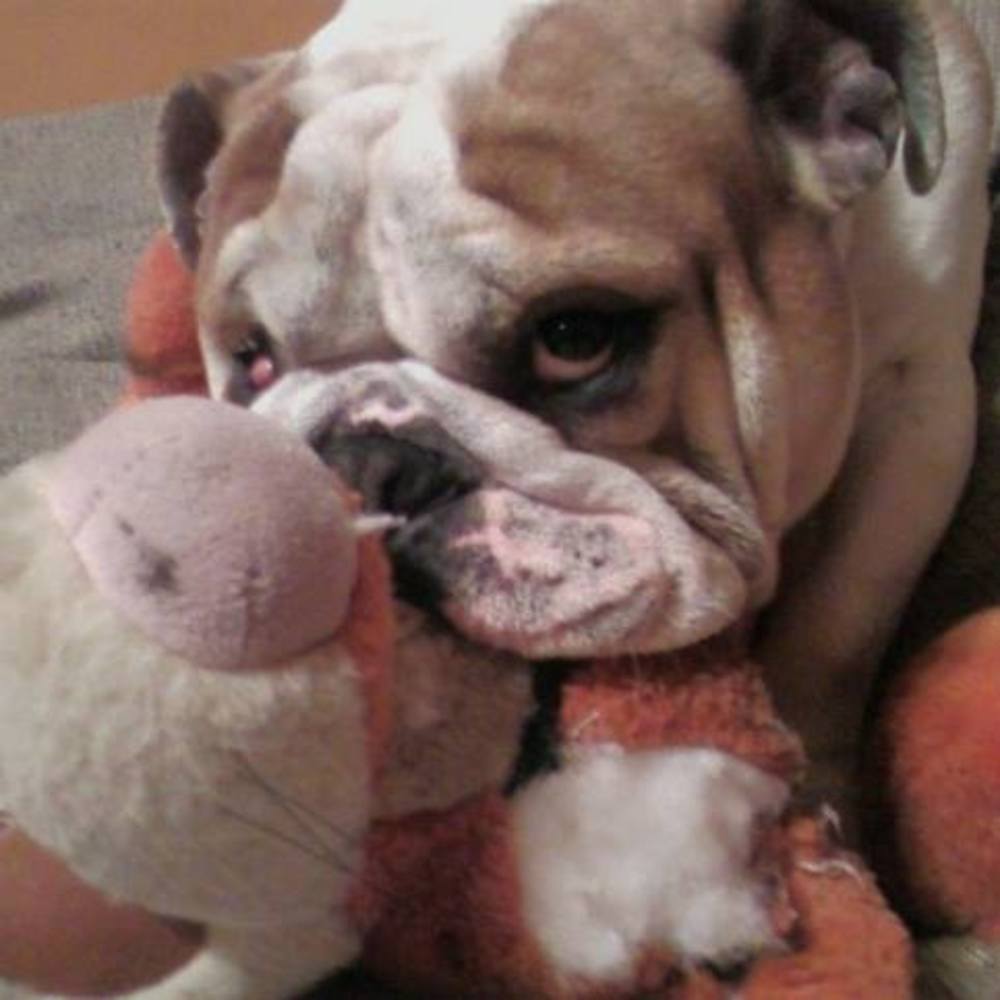 Meet your Posher, Terri