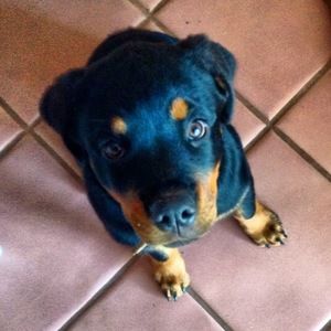 Meet your Posher, Michelle