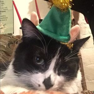 Meet your Posher, Cindy