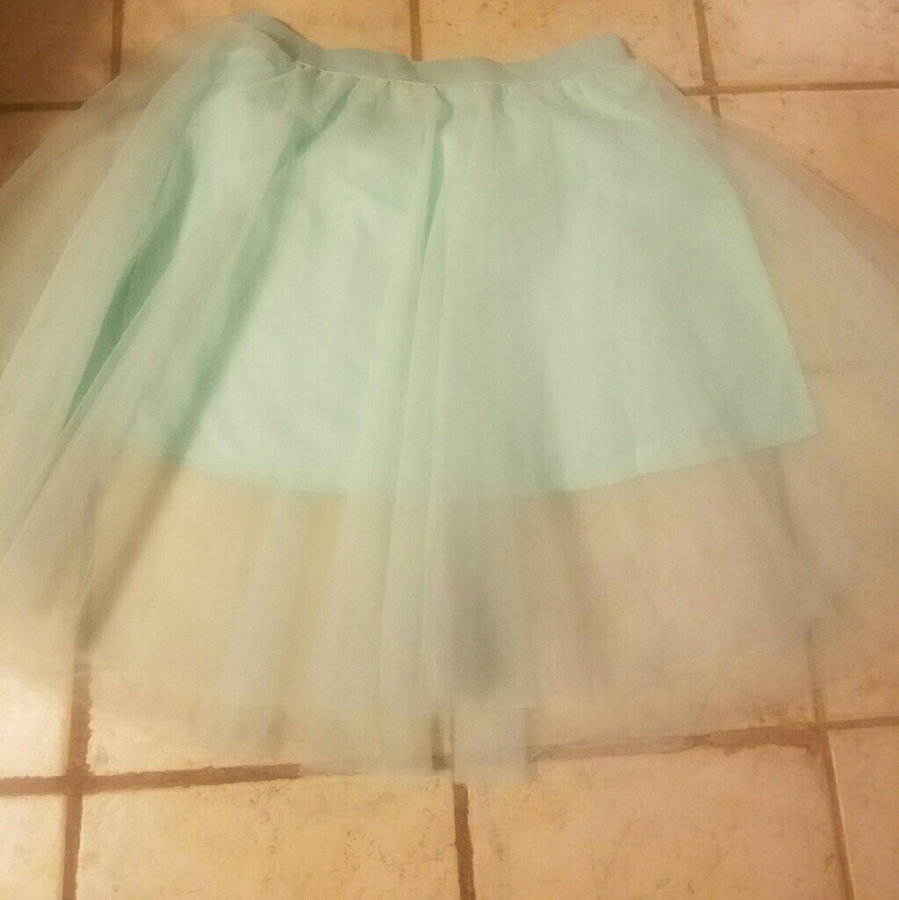 Blue Tulle skirt! NWOT!!