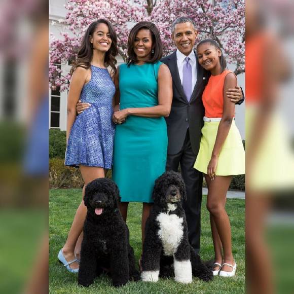 Meet your Posher, Charlotte - Picture 1 of 1