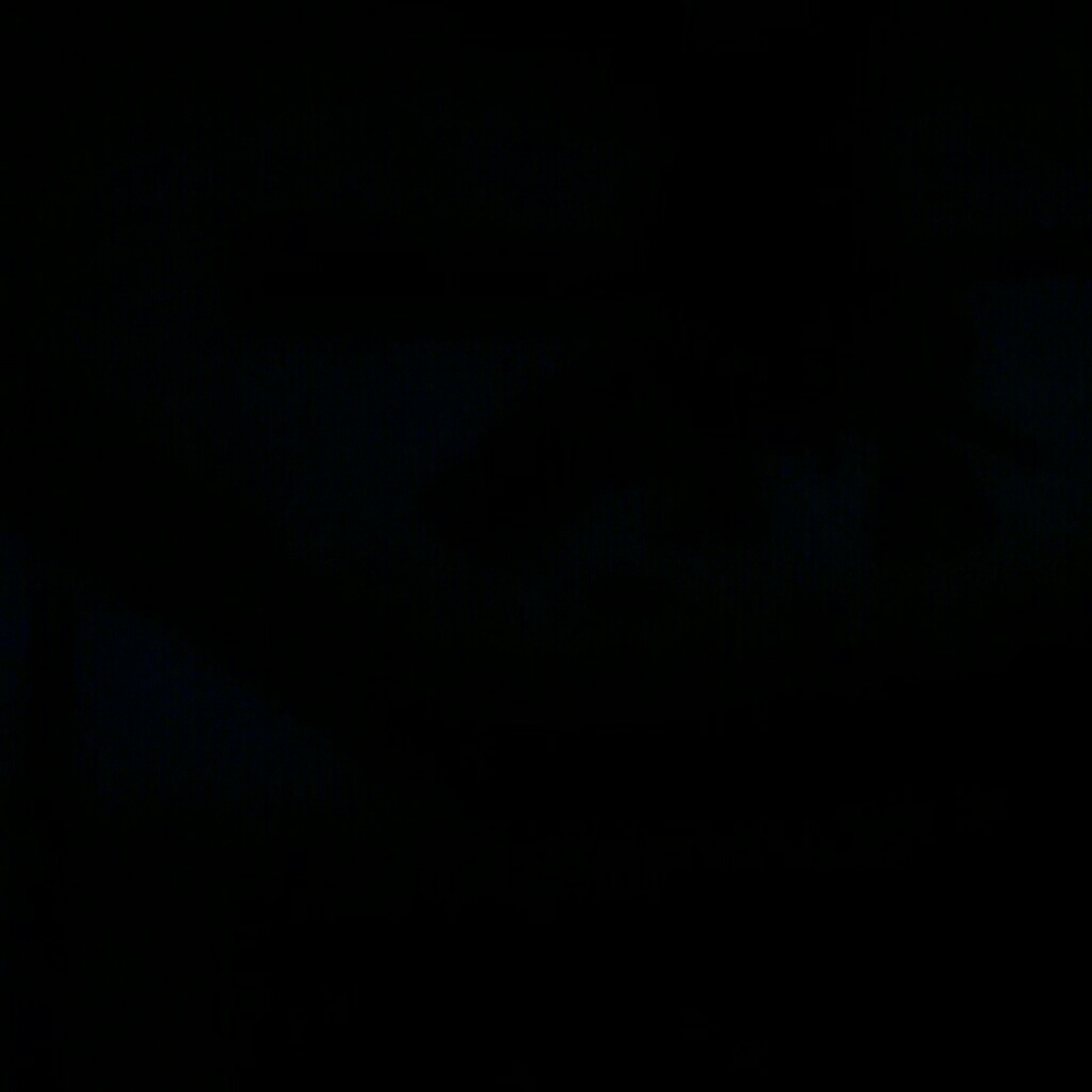 Meet your Posher, Darlene