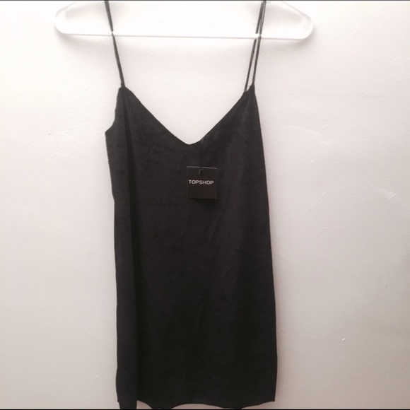 NWT Velvet Topshop dress size 6 - Picture 1 of 2