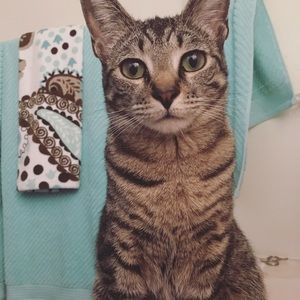 Meet your Posher, Eli