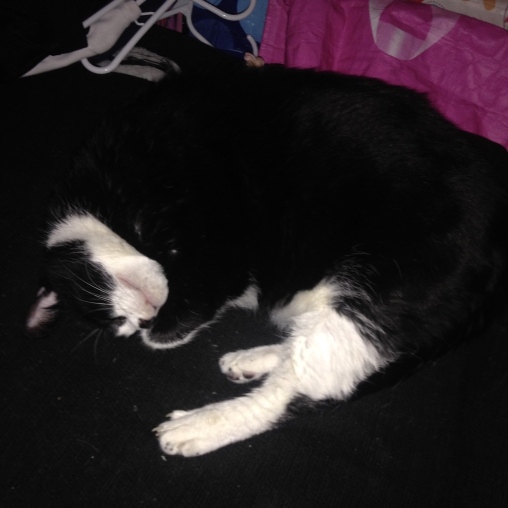 Meet your Posher, Susan