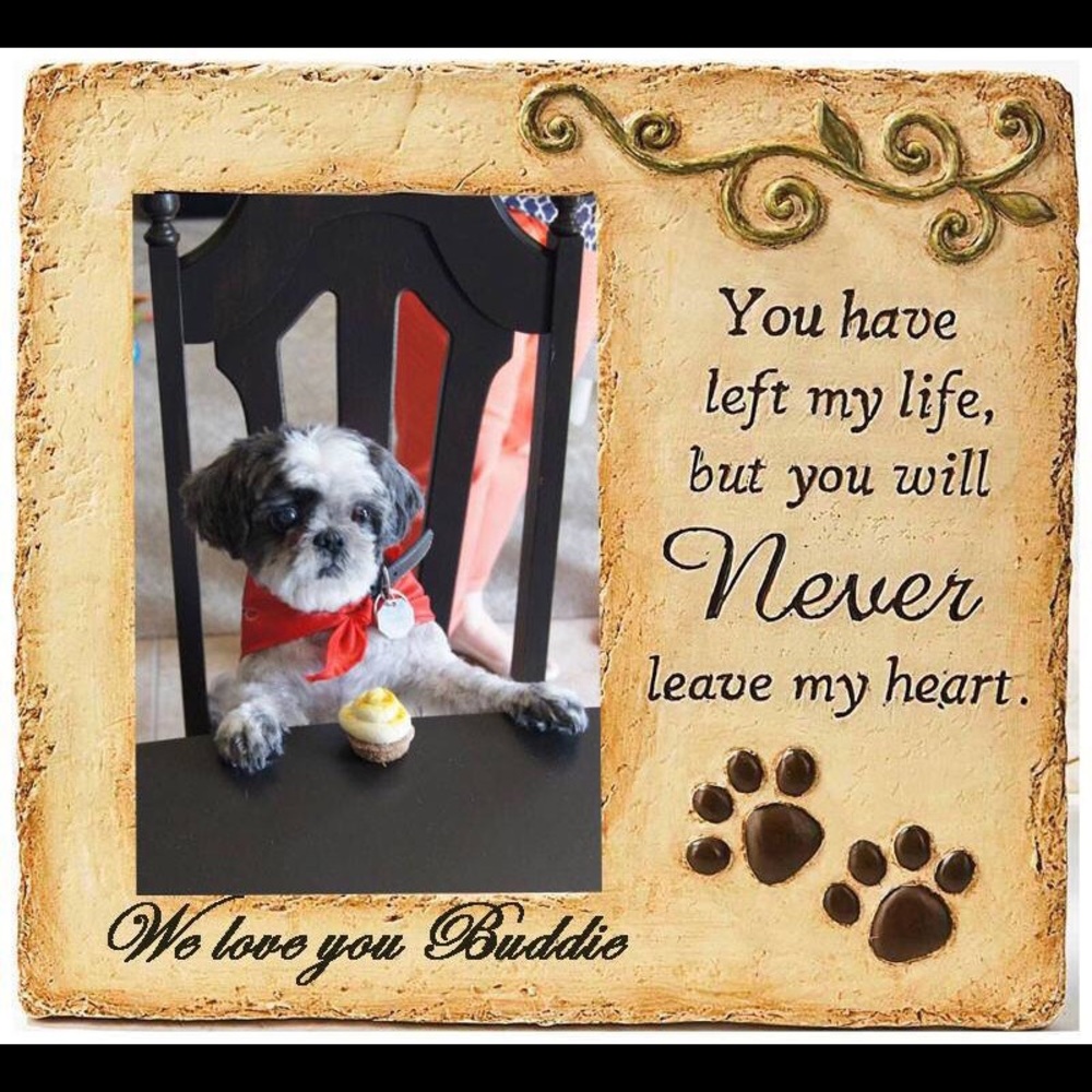 Meet your Posher, Charles - Picture 1 of 1