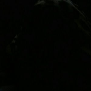 Meet your Posher, Trisha